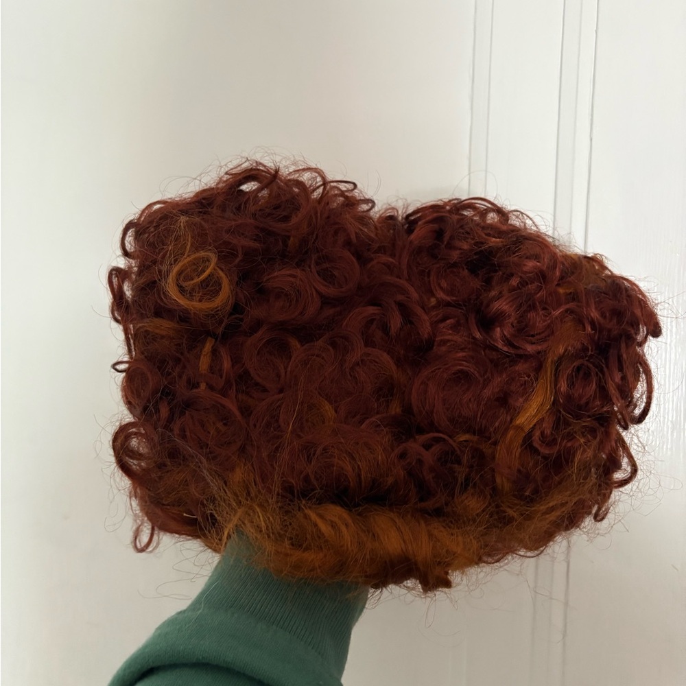 Hocus Pocus Sanderson Sisters Costumes - Picture 10 of 11